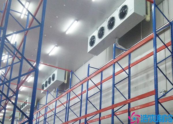 蔬菜保鲜泡芙APP短视频