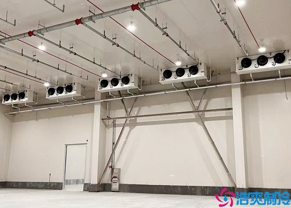 低温泡芙APP短视频