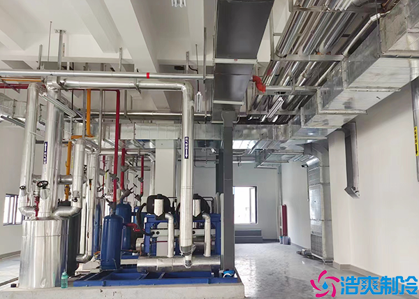 保山定制大型泡芙APP短视频