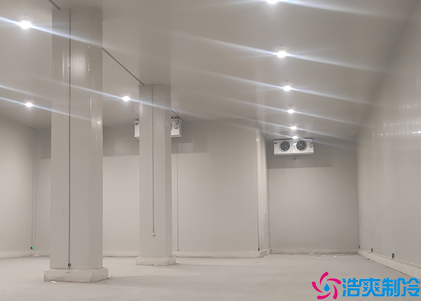 牛肉泡芙APP短视频