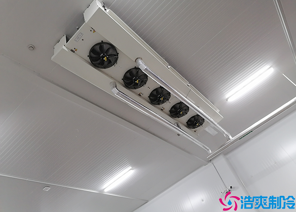 光纤测温与泡芙APP短视频测温