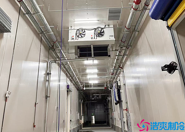 物流泡芙APP短视频