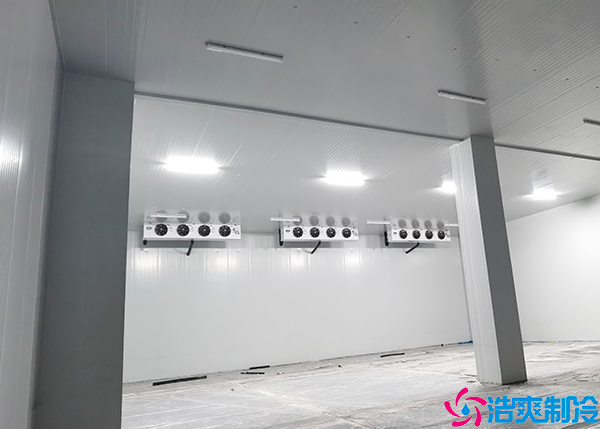 蔬菜保鲜泡芙APP短视频