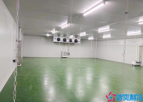 土豆泡芙APP短视频