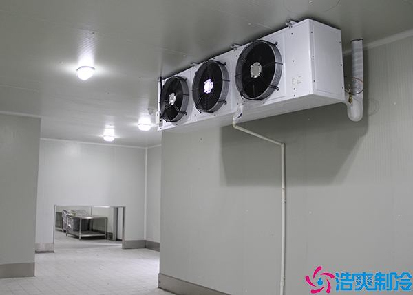 牛肉小型泡芙APP短视频