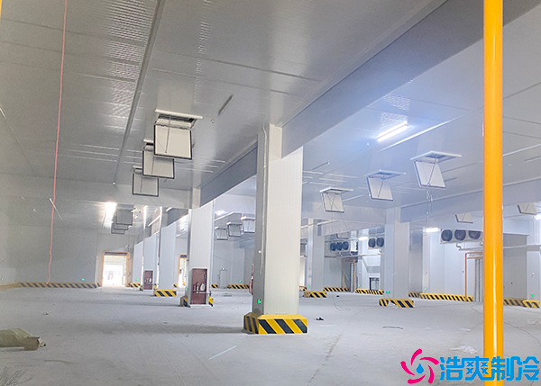 物流泡芙APP短视频