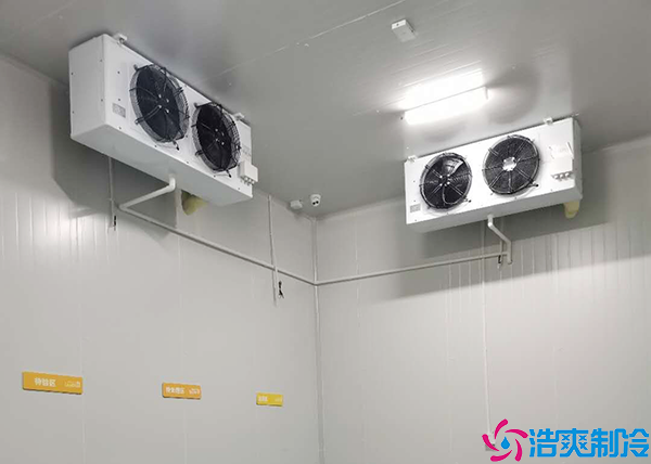 葡萄气调保鲜泡芙APP短视频