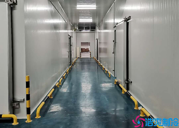 葡萄气调保鲜泡芙APP短视频