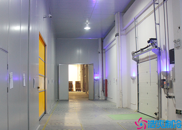 食品泡芙APP短视频