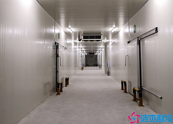 蔬菜保鲜泡芙APP短视频