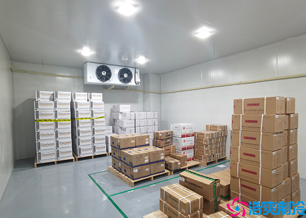 肉类泡芙APP短视频