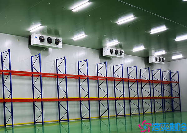 牛肉泡芙APP短视频