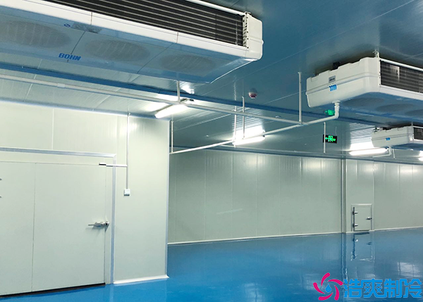 物流泡芙APP短视频