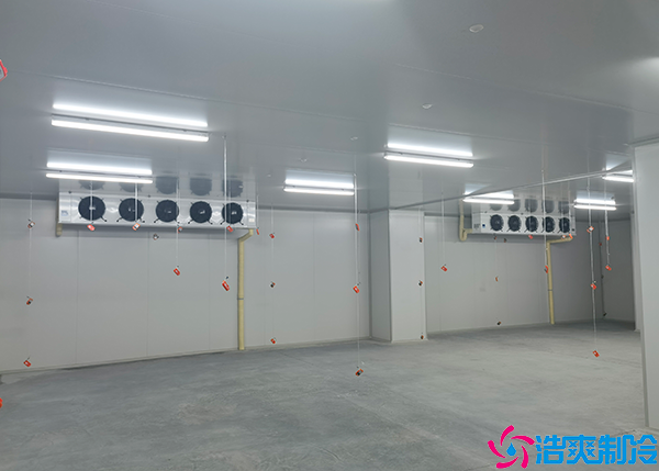 蔬菜保鲜泡芙APP短视频