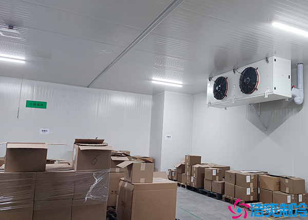 牛肉泡芙APP短视频