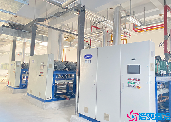 大型物流泡芙APP短视频