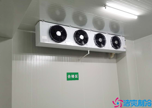 食品低温泡芙APP短视频