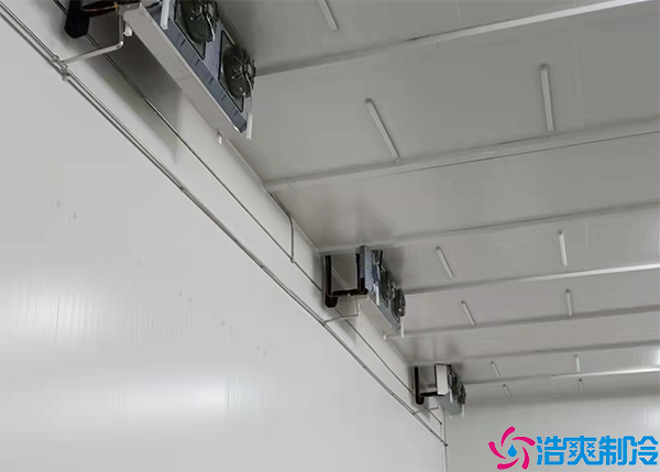 双温组装泡芙APP短视频