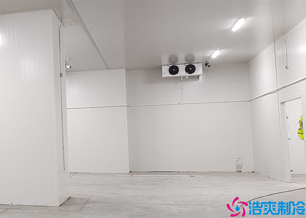 小型气调泡芙APP短视频