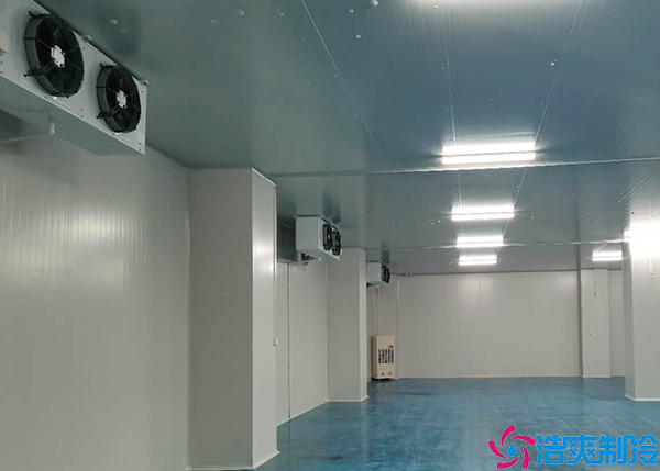 大型肉品泡芙APP短视频