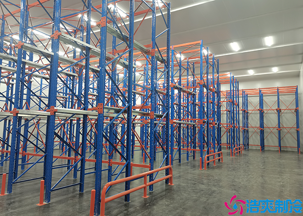 小型物流泡芙APP短视频