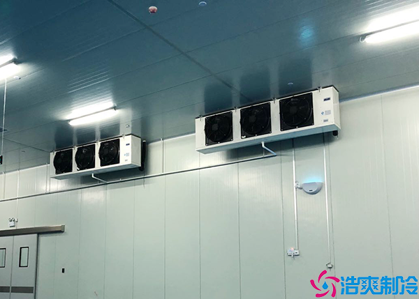 食品仓储泡芙APP短视频