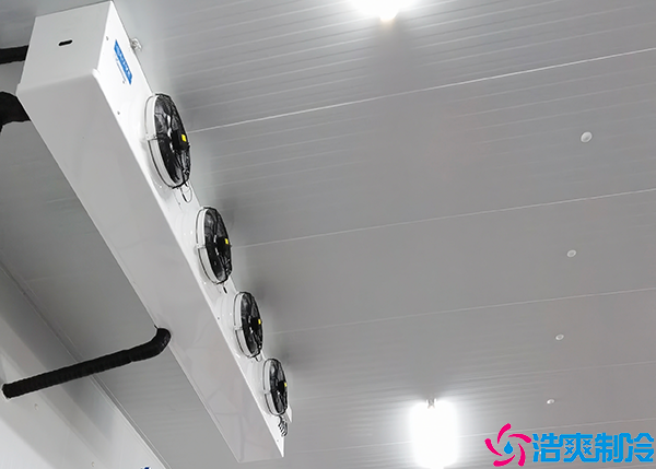 小型泡芙APP短视频