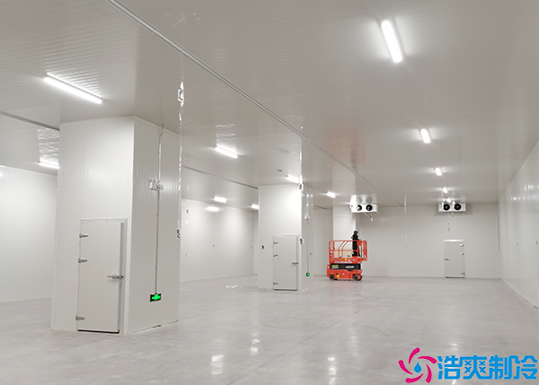 小型泡芙APP短视频