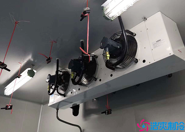 物流仓储泡芙APP短视频