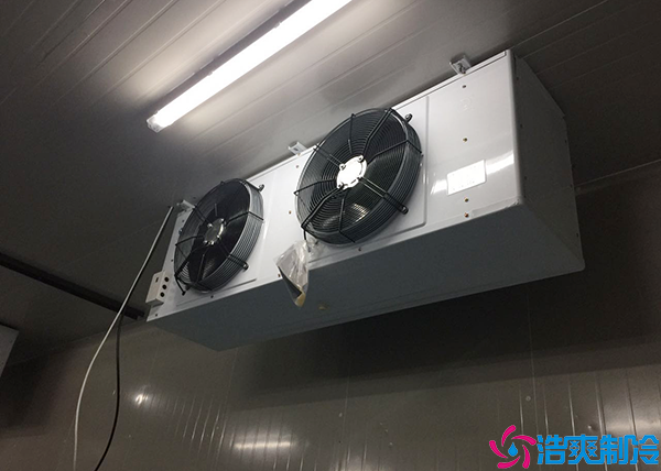 微型气调保鲜泡芙APP短视频