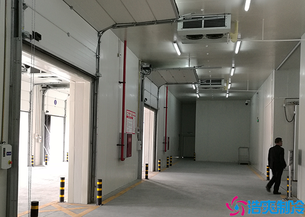 微型气调保鲜泡芙APP短视频