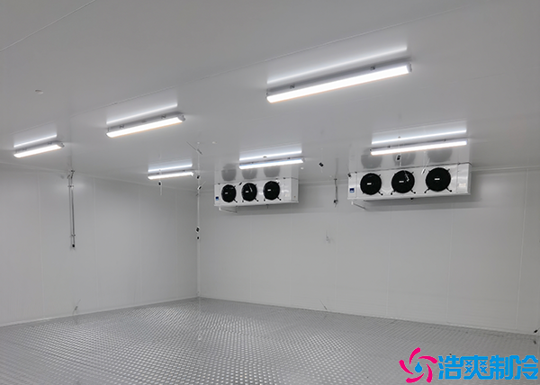 食品小型泡芙APP短视频