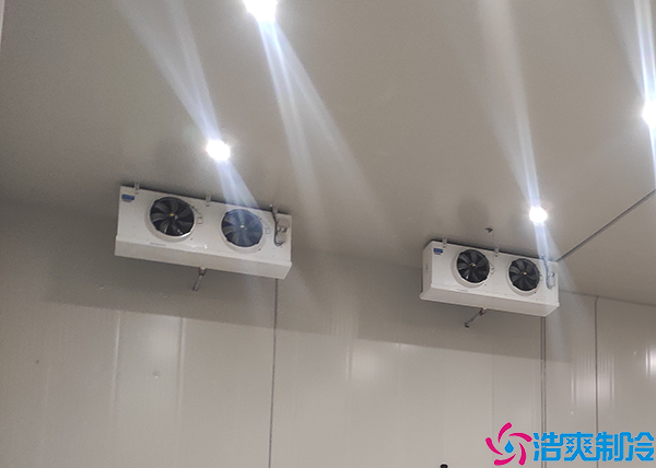 花卉泡芙APP短视频