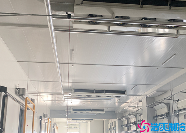 物流泡芙APP短视频