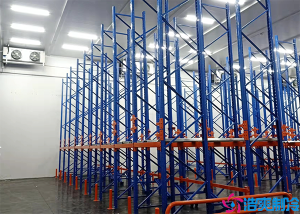 超低温泡芙APP短视频