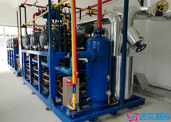 鲜花店小型泡芙APP短视频