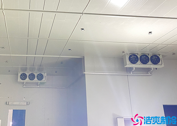 大型泡芙APP短视频