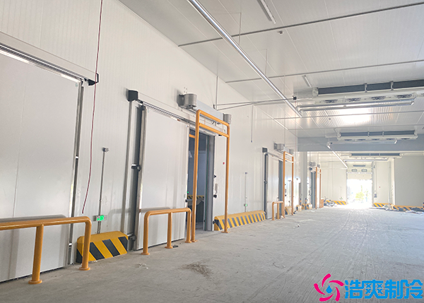 物流泡芙APP短视频