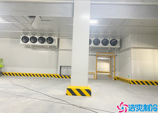 大型低温泡芙APP短视频