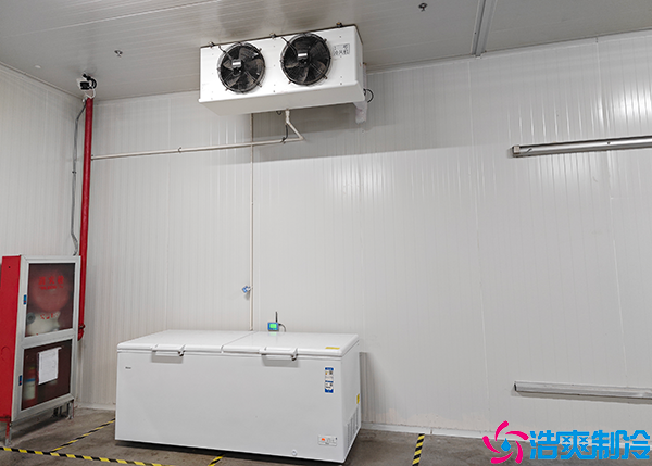 小型泡芙APP短视频