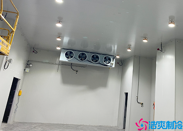 保鲜气调泡芙APP短视频