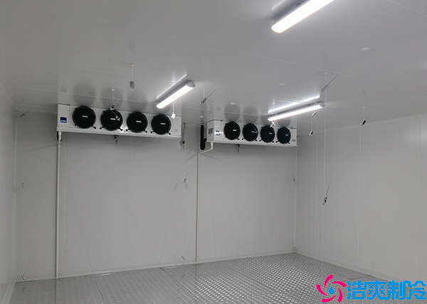 物流小型泡芙APP短视频