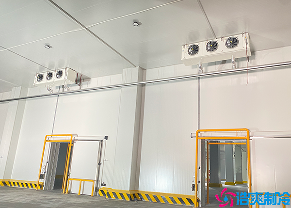 物流泡芙APP短视频