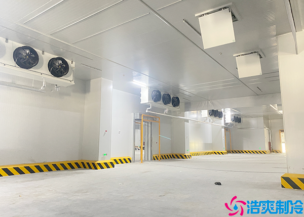 农产品泡芙APP短视频设备