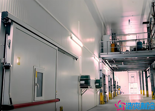 速冻泡芙APP短视频设备