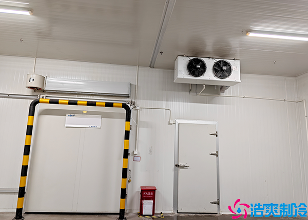 小型肉品泡芙APP短视频