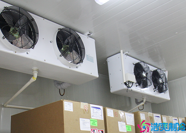 微型气调保鲜泡芙APP短视频