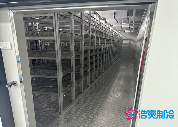 江苏中央厨房泡芙APP短视频.jpg