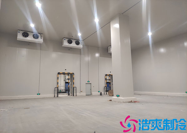 湖北大型气调泡芙APP短视频建造特点.jpg