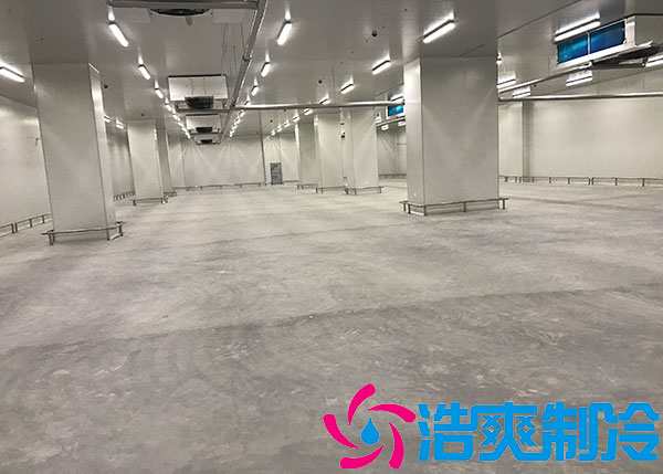 小型物流泡芙APP短视频厂家.jpg